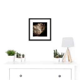 Artery8 Leopard Big Cat Spots Photo 8X8 Inch Square Wooden Framed Wall Art Print Picture with Mount in Black - thumbnail 2