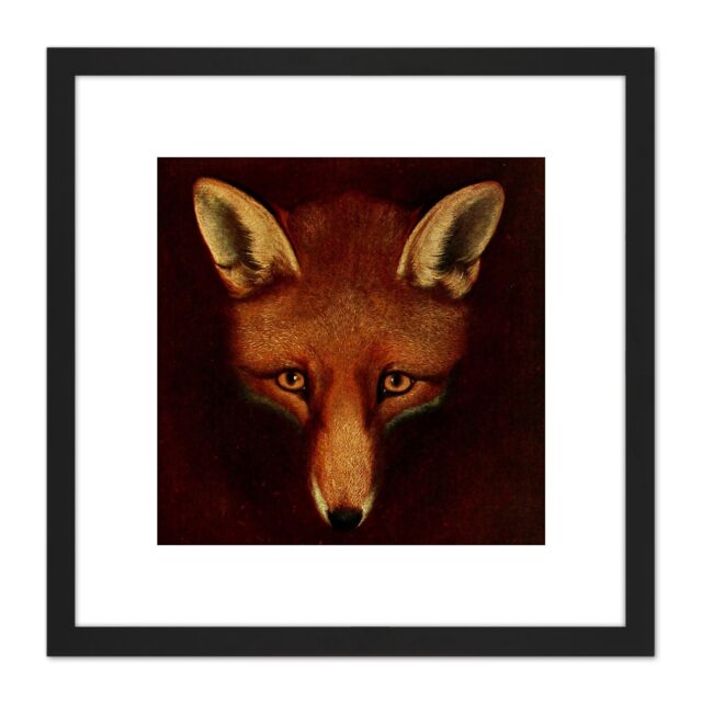 Artery8 Reinagle Renard Fox Book illustration Recreation Painting 8X8 Inch Square Wooden Framed Wall Art Print Picture with Mount in Black - image 1