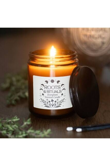 KDMD Roots & Rituals Evergreen Amber Glass Candle - Forest Scent, 22H Burn - image 1
