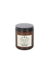 KDMD Roots & Rituals Evergreen Amber Glass Candle - Forest Scent, 22H Burn - thumbnail 2