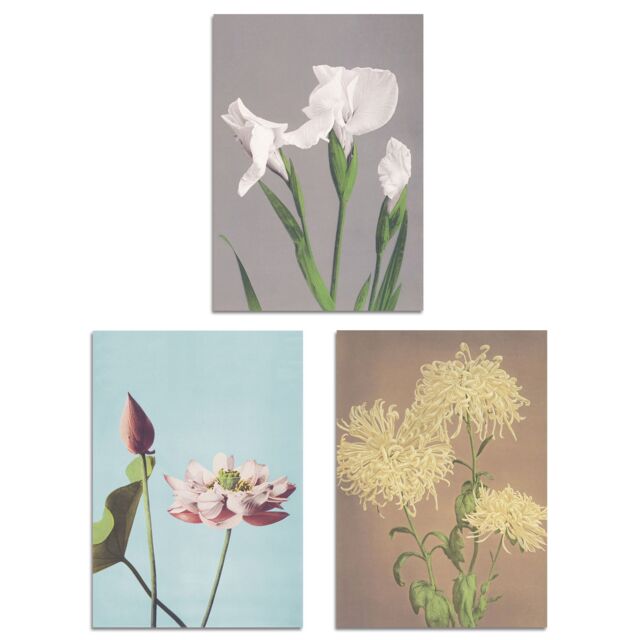 Artery8 Set of 3 Vintage Japanese Floral Botanical Flowers Wall Art Prints - Size: A3 - image 1