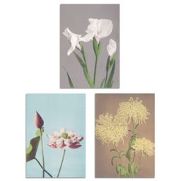 Artery8 Set of 3 Vintage Japanese Floral Botanical Flowers Wall Art Prints - Size: A3 - thumbnail 1
