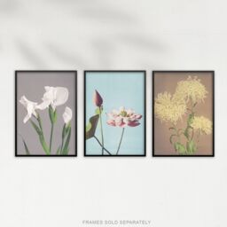Artery8 Set of 3 Vintage Japanese Floral Botanical Flowers Wall Art Prints - Size: A3 - thumbnail 5