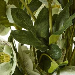 Lemon Pavilion Furniture and Decor Large Hellebore in Pot - Plastic - L52 x W52 x H85 cm - Green/Taupe in Brown - thumbnail 3