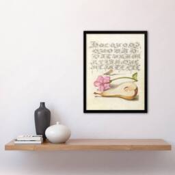 Artery8 Model Book of Calligraphy Framed Wall Art Mayfly Red Campion & Pear in Beige - Size: A4 - thumbnail 2