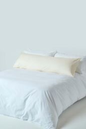 Homescapes Egyptian Cotton Housewife Body Pillowcase 200 TC in Cream - thumbnail 2