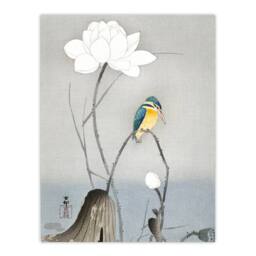 Artery8 Ohara Koson Framed Wall Art Print Kingfisher With Lotus Flower in Grey - Size: A4 - thumbnail 3