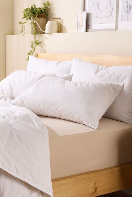 Snuggledown 2 Pack Scandinavian Duck Feather & Down Medium Support Pillows in White - image 1