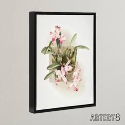 "Artery8 F Sander Laelia Autumnalis Xanthotropis Orchid Framed Canvas Art Print - Size: W12"" x H16""" - thumbnail 2