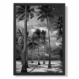 ARTZE Stormy Palm Trees Black & White Photo Framed Print SIZE: A2 with Black Frame - Size: A4 - thumbnail 1