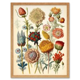 "Artery8 Wall Art Print Vintage Botanical Ernst Haeckel Inspired Plant Study Modern Watercolour Painting Art Framed in Light Oak - Size: W12"" x H16""" - thumbnail 1