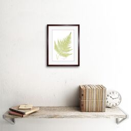 "Artery8 Wall Art Print Fern Polypodium Eppusum Art Framed 9x7 inch in Brown - Size: W7"" x H9""" - thumbnail 2