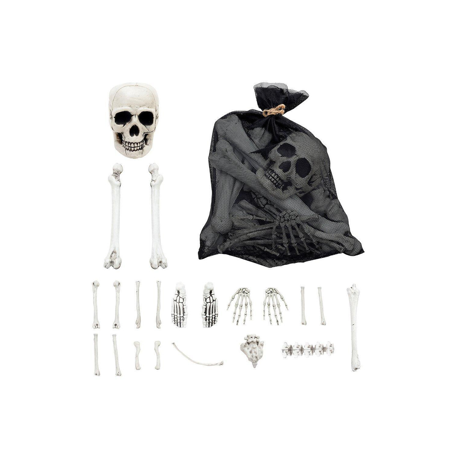 19 Pcs Halloween Realistic Skeleton - image 1
