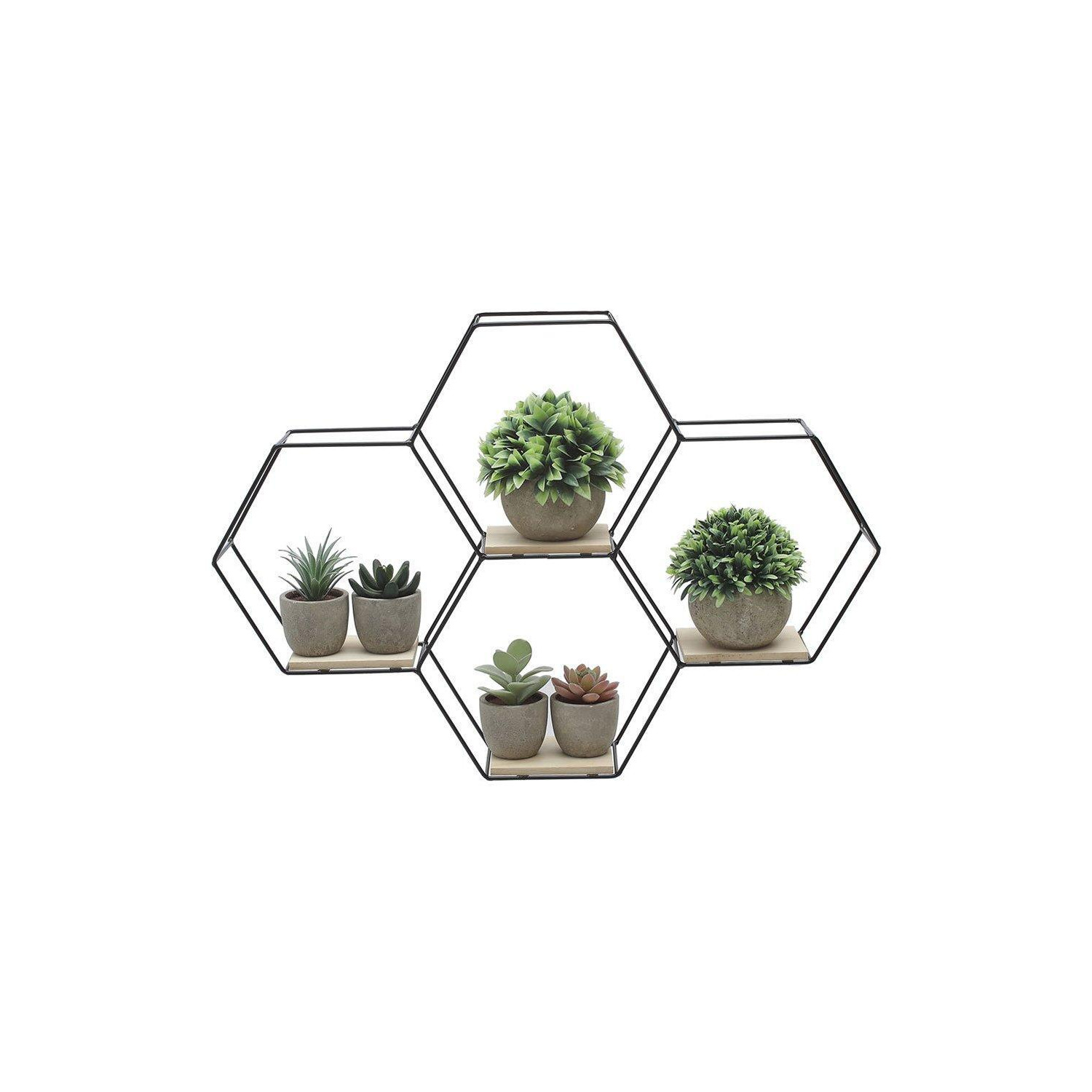 Modern Hexagon Wall Shelf with Iron Frame - image 1