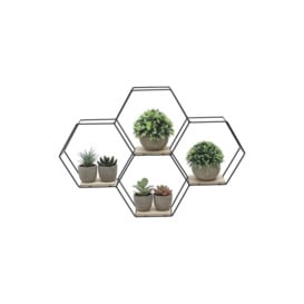 Modern Hexagon Wall Shelf with Iron Frame - thumbnail 1
