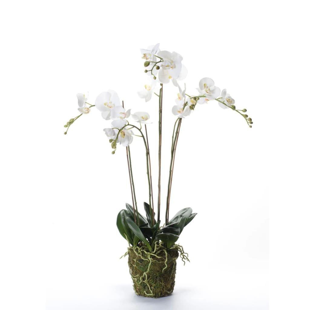 Emerald Artificial Phalaenopsis with Moss White 90 cm 20.355 - image 1