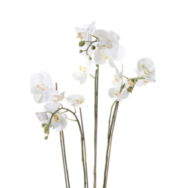Emerald Artificial Phalaenopsis with Moss White 90 cm 20.355 - thumbnail 2