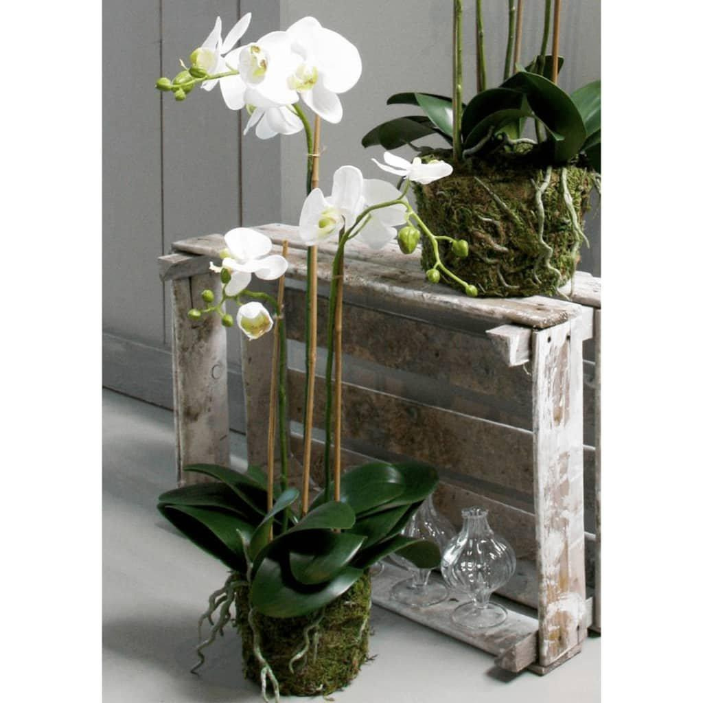 Emerald Artificial Phalaenopsis Orchid 70 cm White - image 1