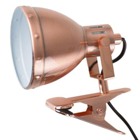 Portishead Copper Clip Spotlight