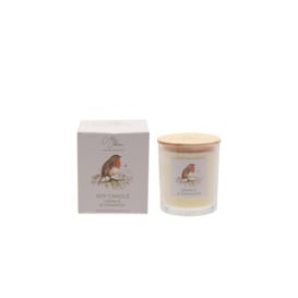 250g Candle - Robin Orange & Cinnamon