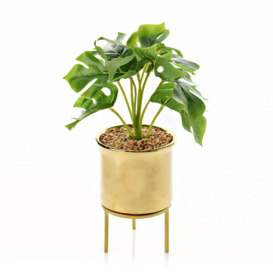 Gold Footed Planter with Faux Plants