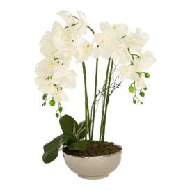 Fiori Artificial flowers Fiori White Orchid Plant in Round Pot