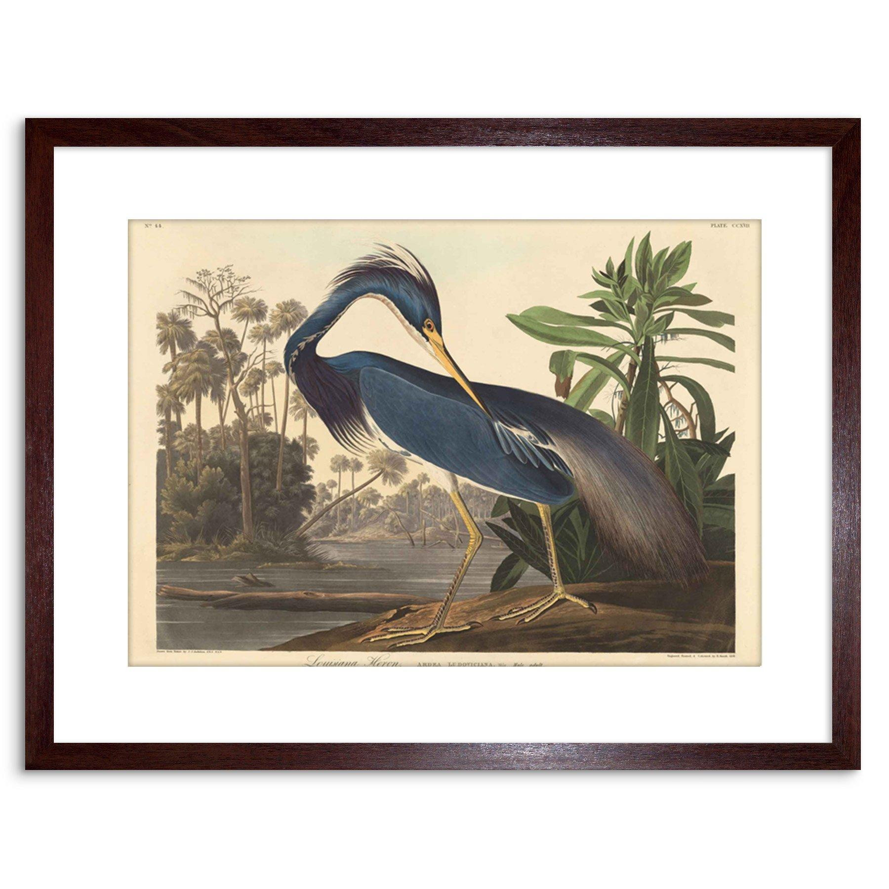 Wall Art Print Painting Bird Audubon Louisiana Heron Artwork Framed 9X7 Inch - image 1