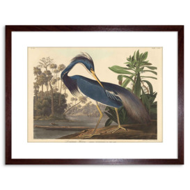 Wall Art Print Painting Bird Audubon Louisiana Heron Artwork Framed 9X7 Inch - thumbnail 1