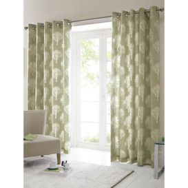 'Woodland Trees' Motif 100% Cotton Ready to Hang Eyelet Curtains