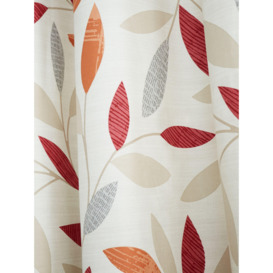 'Beechwood' Leaf Trail Pair of 100% Cotton Eyelet Curtains - thumbnail 3