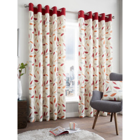 'Beechwood' Leaf Trail Pair of 100% Cotton Eyelet Curtains