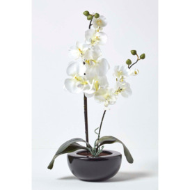 Orchids Style in Black Bowl