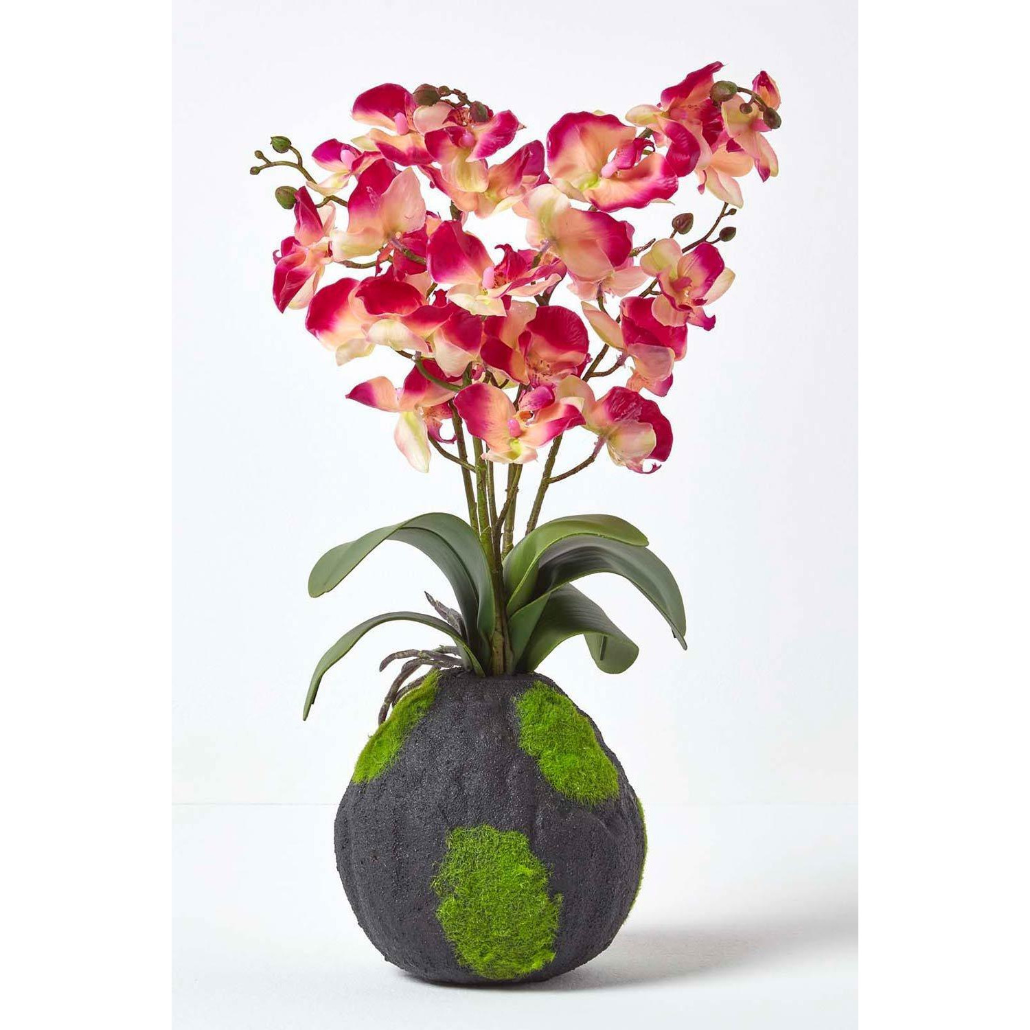 Phalaenopsis Artificial Orchid with Natural Base, 60 cm Tall - image 1