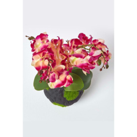Phalaenopsis Artificial Orchid with Natural Base, 60 cm Tall - thumbnail 2