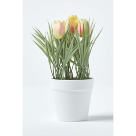 Artificial Tulips in White Decorative Pot, 22 cm Tall