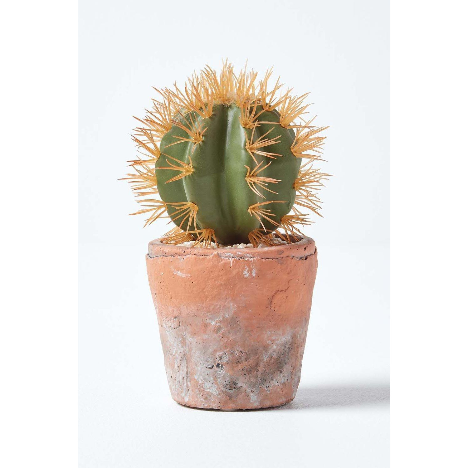 Small Round Artificial Cactus in Terracotta Pot, 15cm Tall - image 1