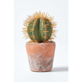 Small Round Artificial Cactus in Terracotta Pot, 15cm Tall - thumbnail 1