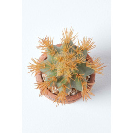 Small Round Artificial Cactus in Terracotta Pot, 15cm Tall - thumbnail 2