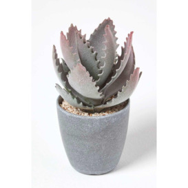 Purple and Green Aloe Vera Artificial Succulent in Grey Pot