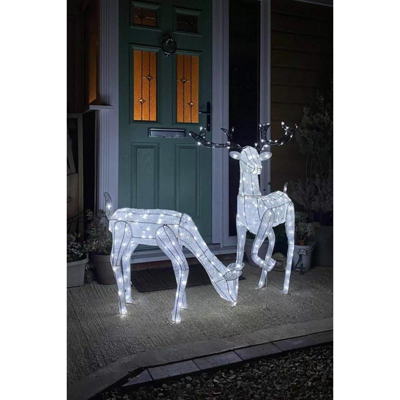 Large Light Up Stag & Doe Reindeer Set - image 1