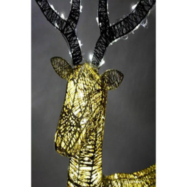 Light-Up Reindeer Gold Stag 120cm - thumbnail 3