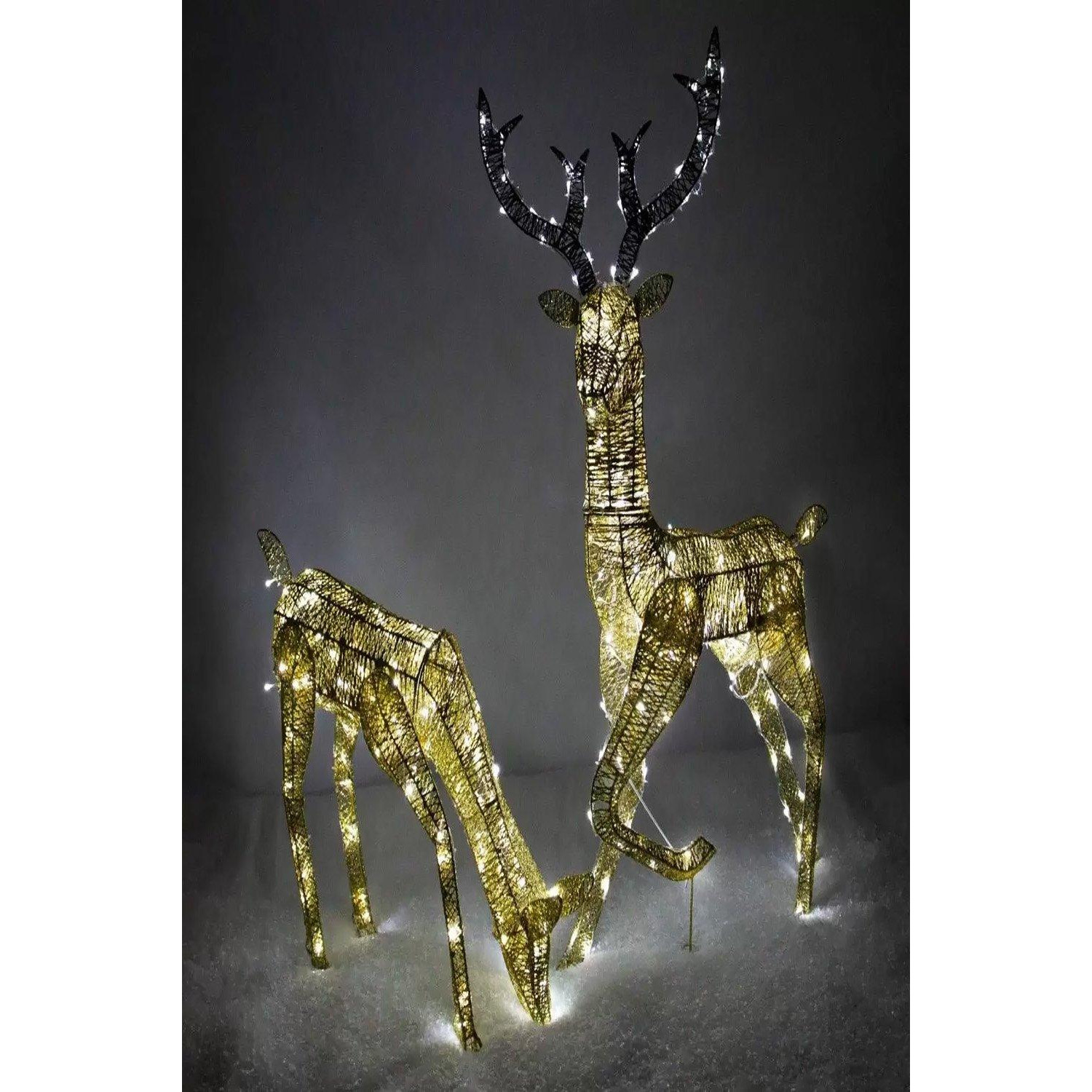 Large Light Up Stag & Doe Reindeer Set - Gold - image 1