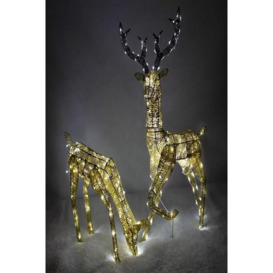 Large Light Up Stag & Doe Reindeer Set - Gold - thumbnail 1