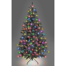7FT Prelit Black Alaskan Pine Christmas Tree Multicolour LEDs - thumbnail 1