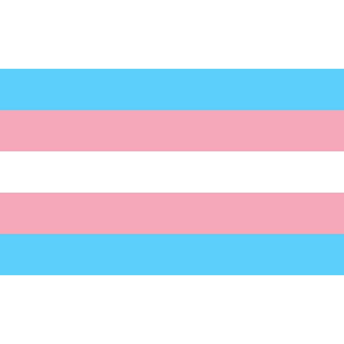 5ft x 3ft Transgender Flag Lesbian Love Gender Diversity Trans/LGBTQ/Pansexual/Non-Binary/Genderfluid Celebration Support - image 1
