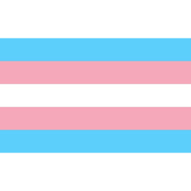 5ft x 3ft Transgender Flag Lesbian Love Gender Diversity Trans/LGBTQ/Pansexual/Non-Binary/Genderfluid Celebration Support - thumbnail 2