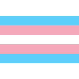 5ft x 3ft Transgender Flag Lesbian Love Gender Diversity Trans/LGBTQ/Pansexual/Non-Binary/Genderfluid Celebration Support - thumbnail 1