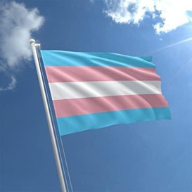 5ft x 3ft Transgender Flag Lesbian Love Gender Diversity Trans/LGBTQ/Pansexual/Non-Binary/Genderfluid Celebration Support - thumbnail 3