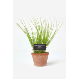 Artificial Chive Plant in Decorative Pot