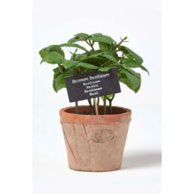 Artificial Basil Plant in Decorative Pot